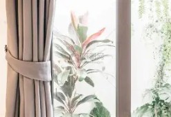 星空体育-包含窗口期社区盾焦点战，葡萄牙体育防线松动，压力陡增，心理建设被强调的词条