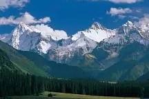 星空体育app-新疆广汇男篮二队