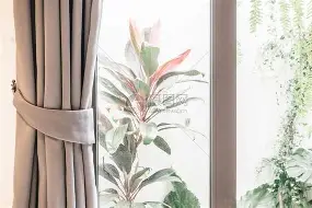 包含窗口期社区盾焦点战，葡萄牙体育防线松动，压力陡增，心理建设被强调的词条